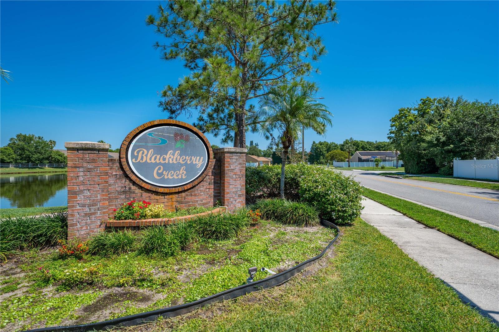 3893 BLACKBERRY CIR