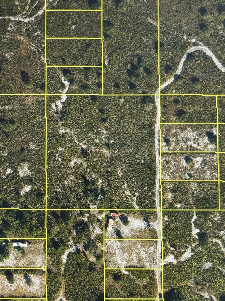 HOLOPAW GROVES RD