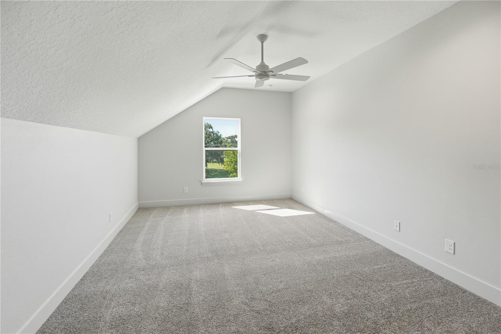 2024 MCMICHEAL RD