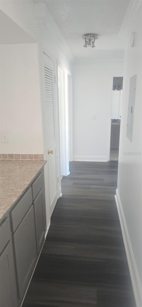 7210 N MANHATTAN AVE #1724