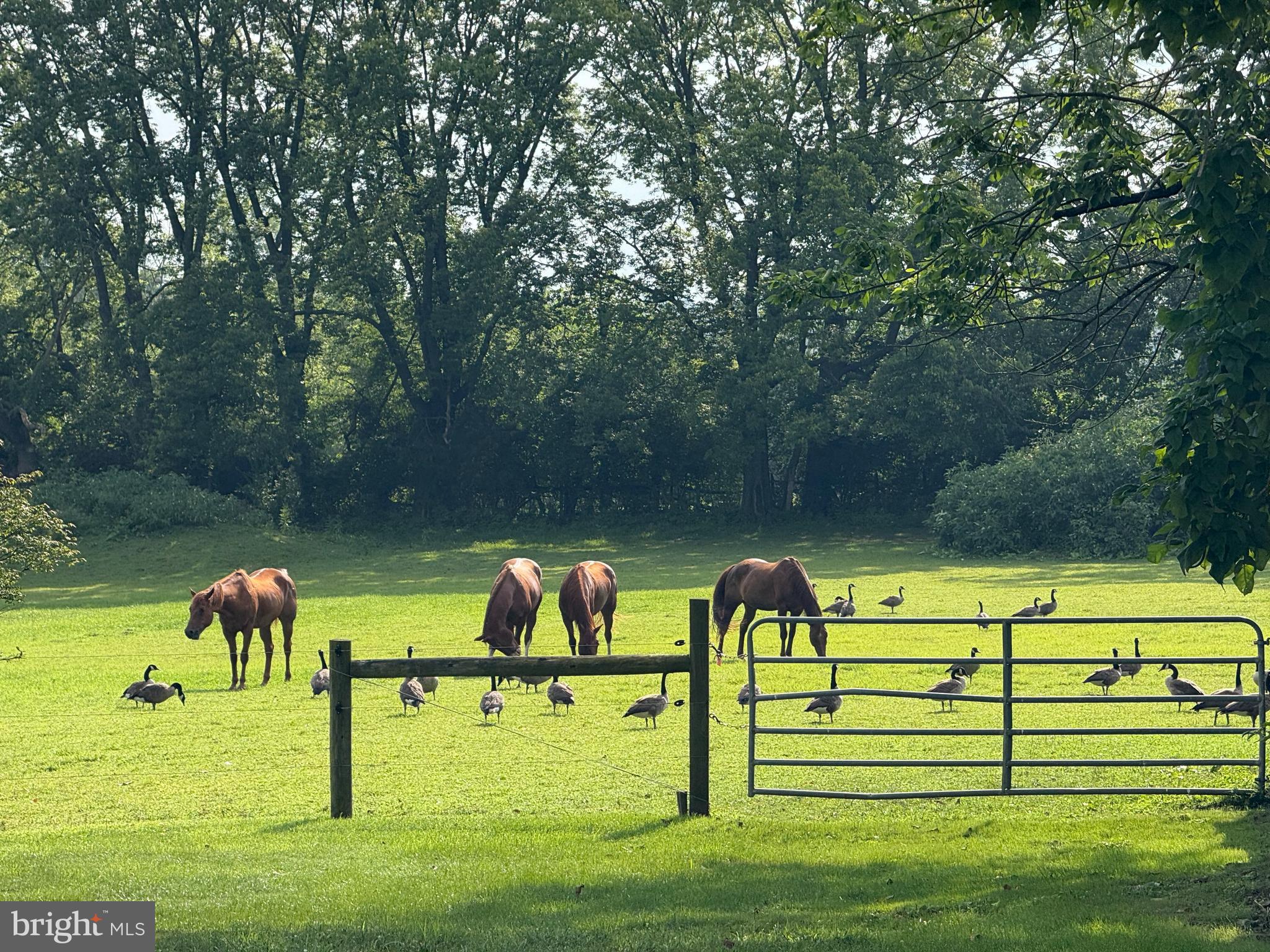 639 OLD AIRPORT ROAD