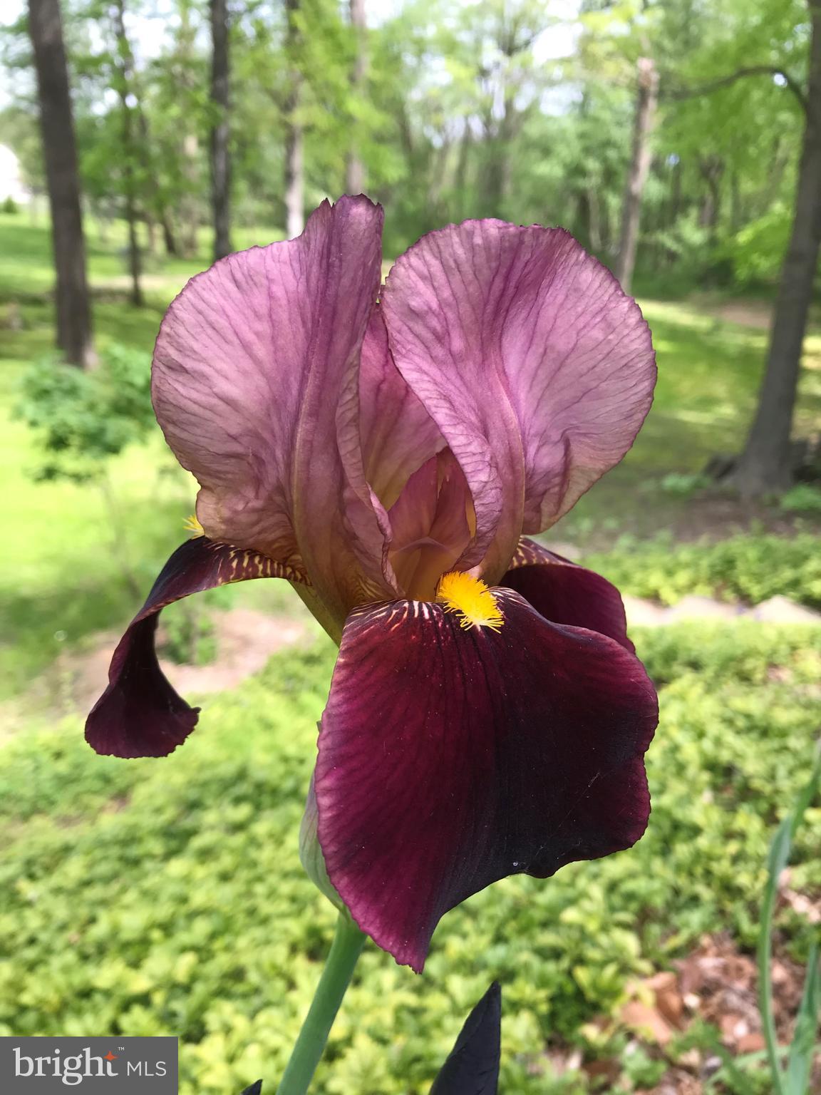 145 TINKER HILL ROAD