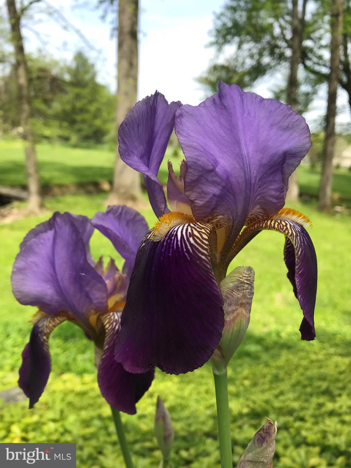 145 TINKER HILL ROAD