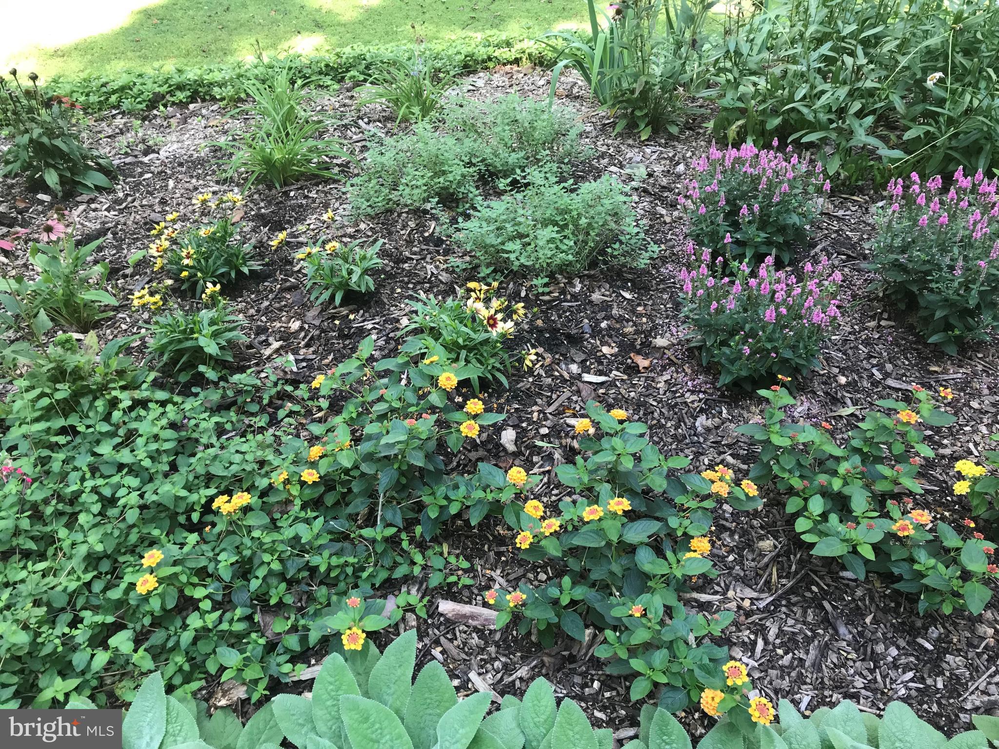 145 TINKER HILL ROAD