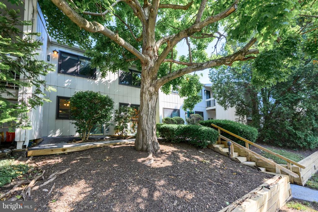 246 SUMMIT HOUSE Unit: 246