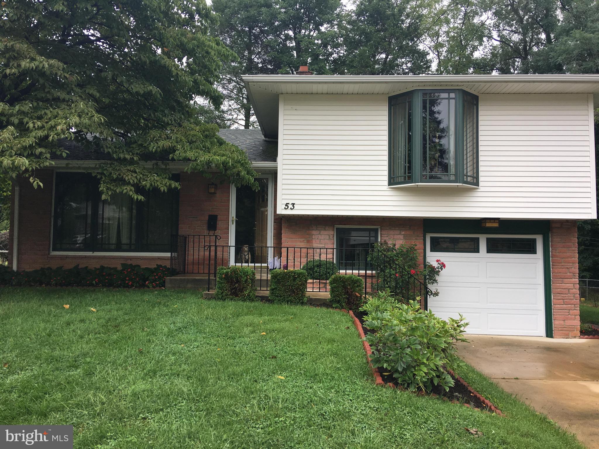 53 ELDON AVENUE