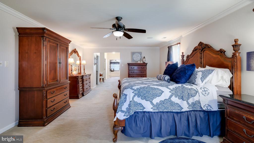 31 THOMAS SPEAKMAN DRIVE