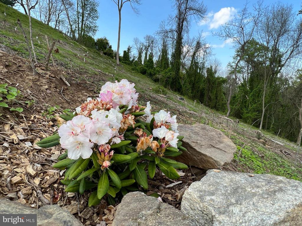 1850 SPRING MILL ROAD