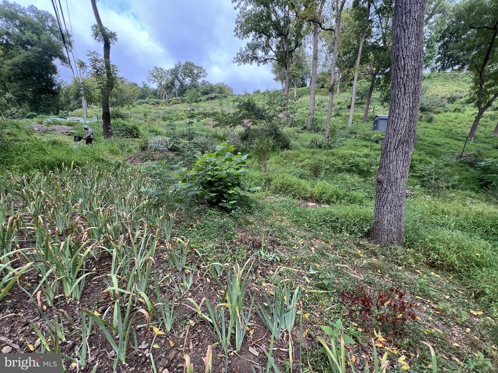 1850 SPRING MILL ROAD