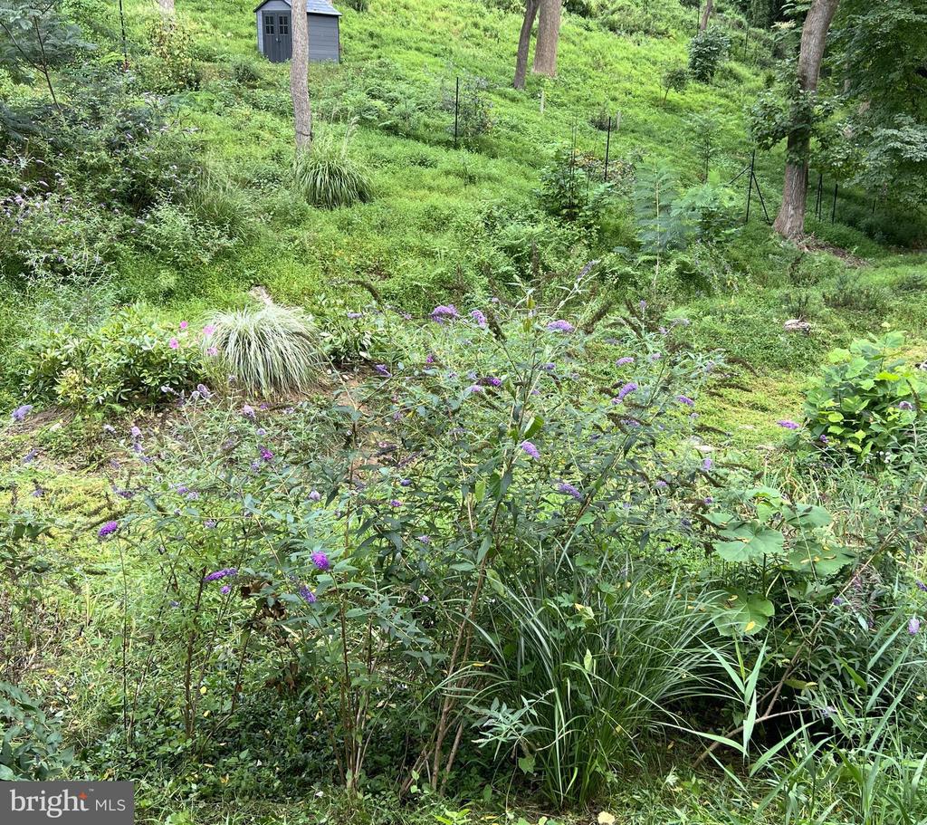 1850 SPRING MILL ROAD