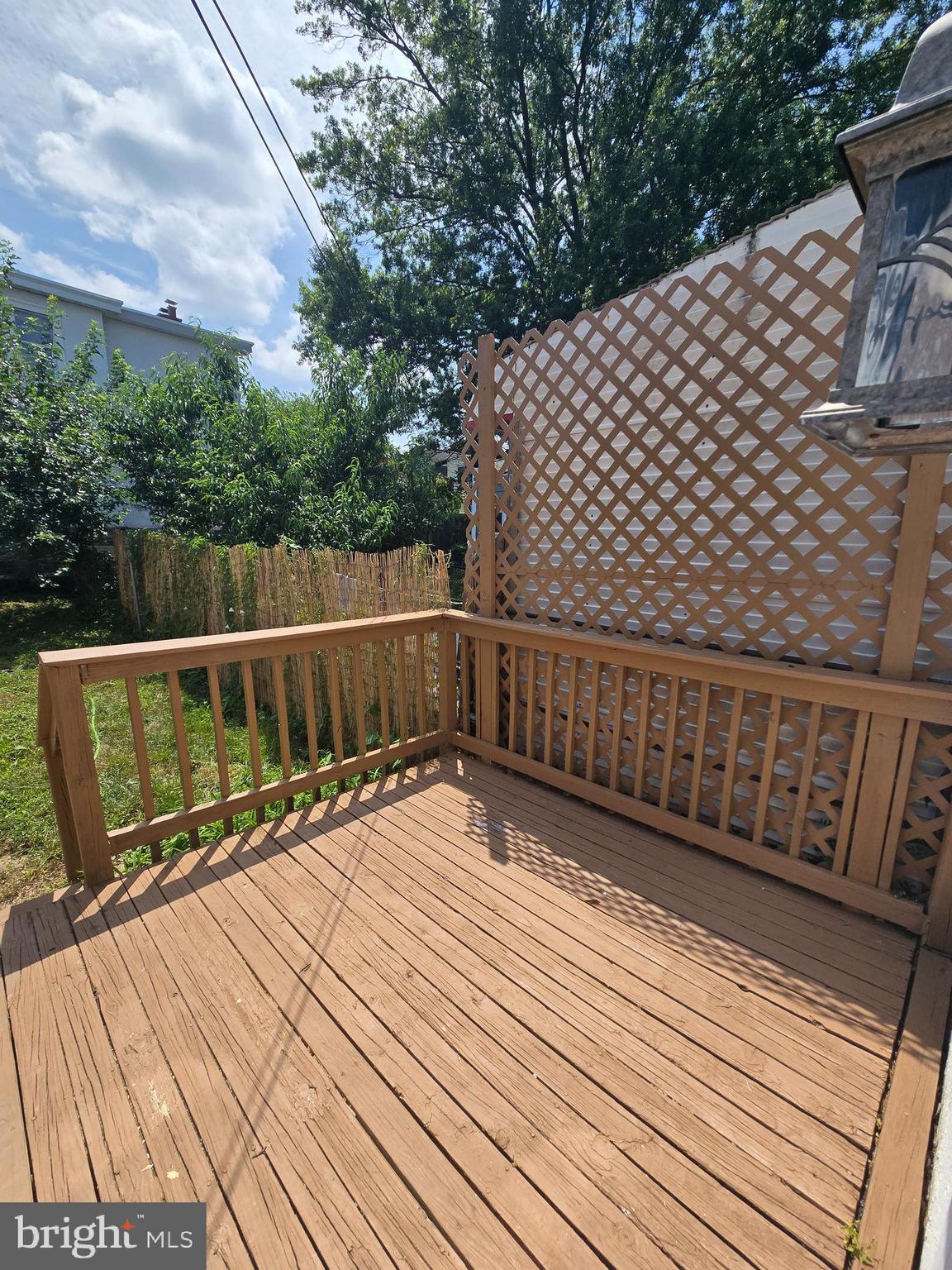 316 WOODBINE AVENUE