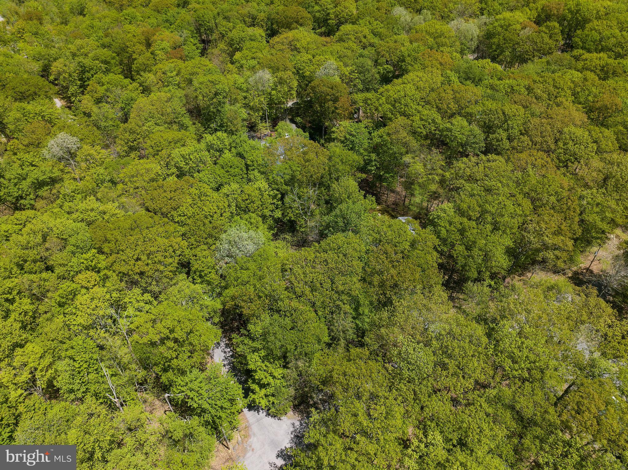236 RIDGE ROAD