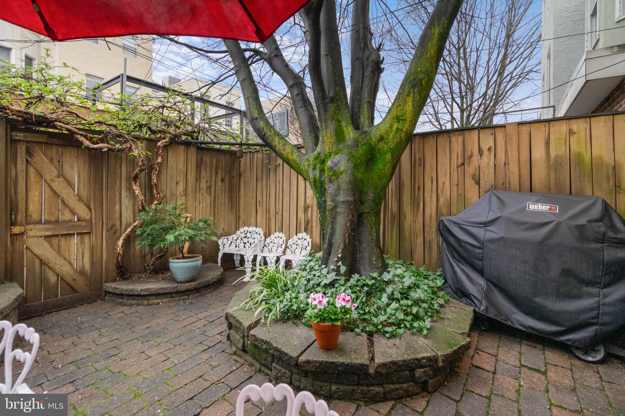 2123 BRANDYWINE STREET