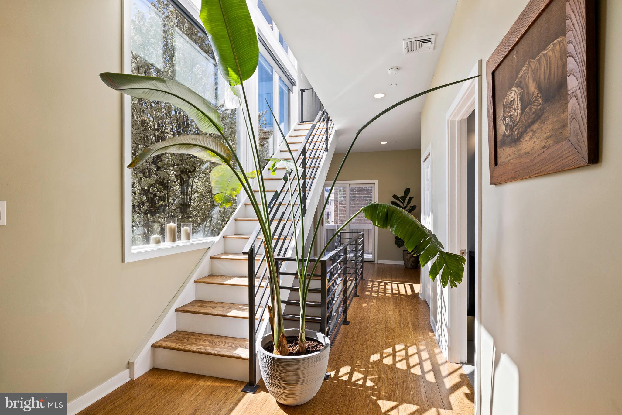 902 NEW MARKET STREET
