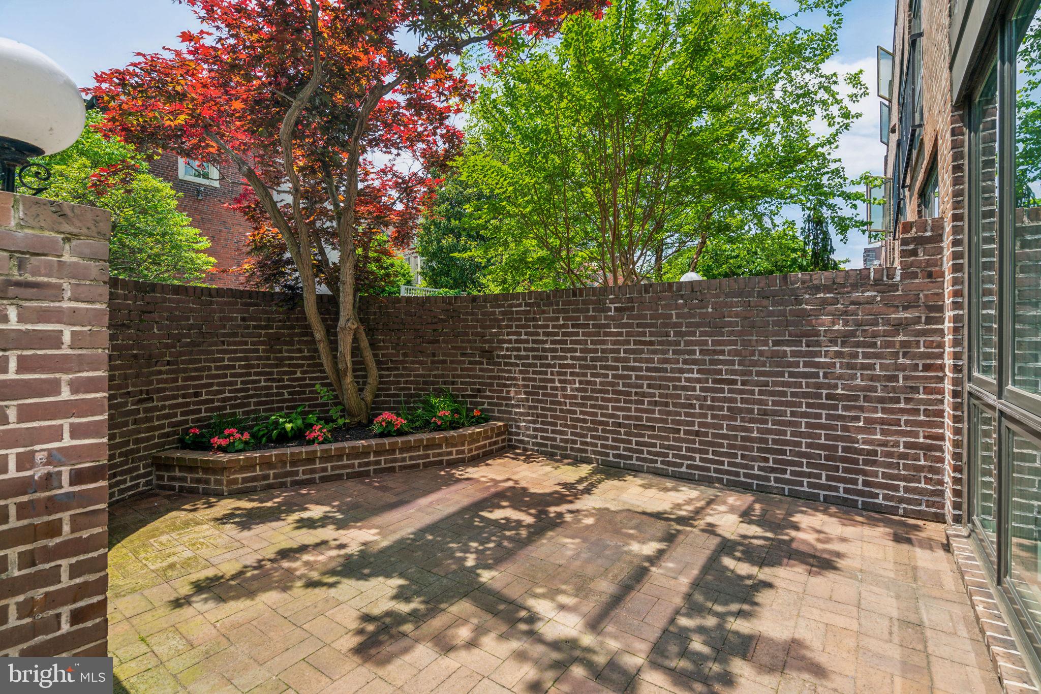 230 LOCUST STREET