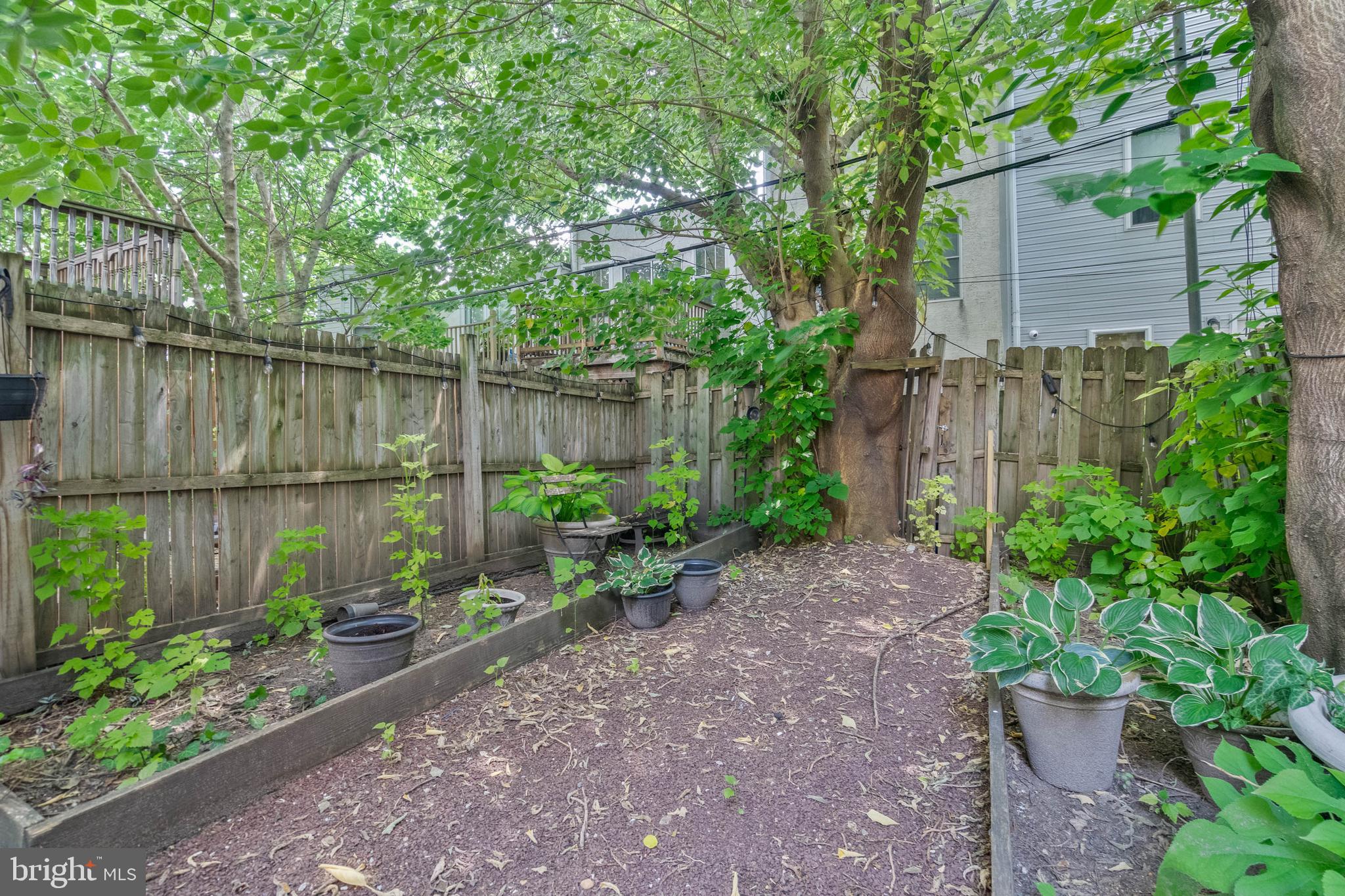 1536 CHRISTIAN STREET