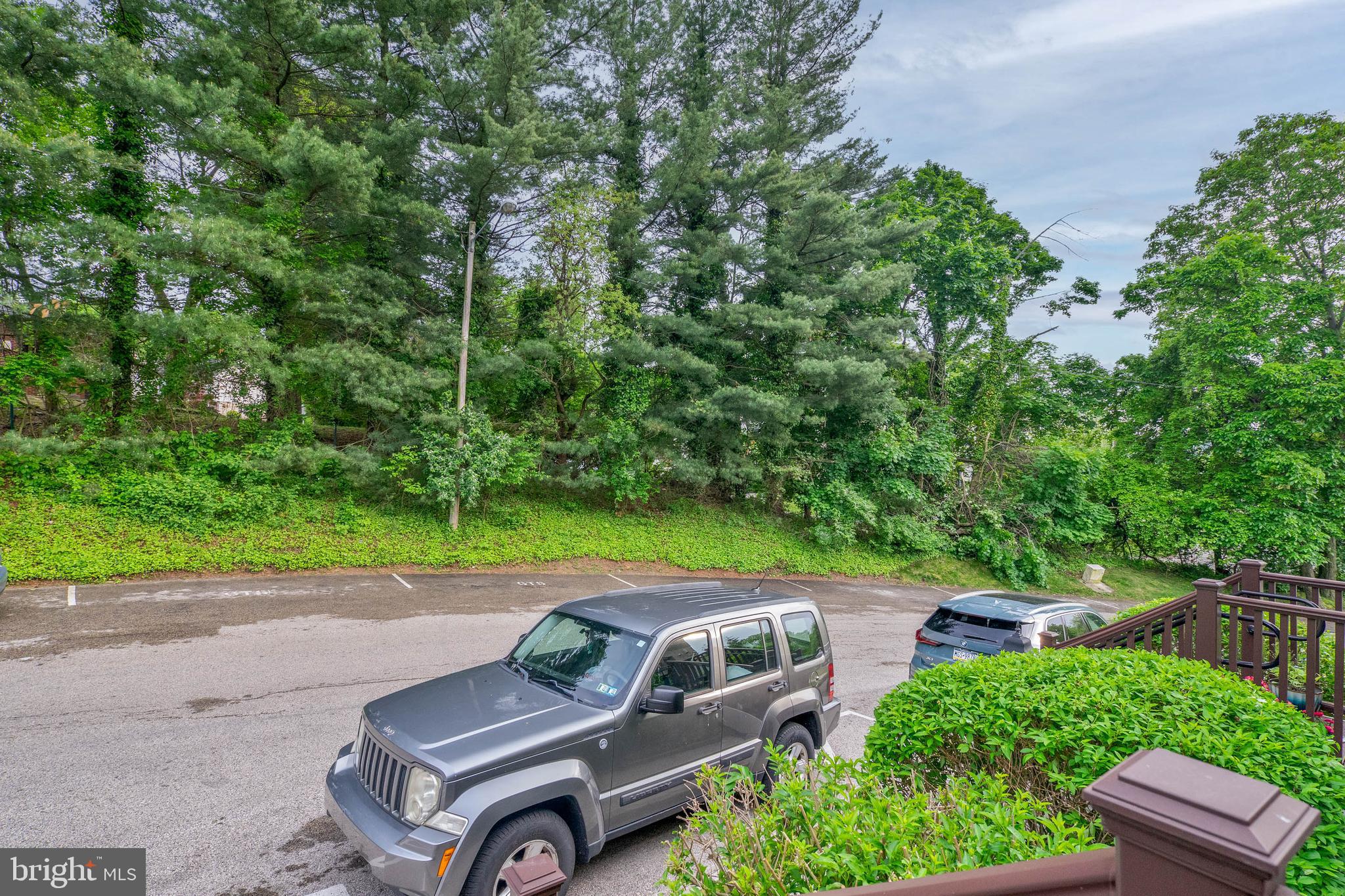 403 SHAWMONT AVENUE D