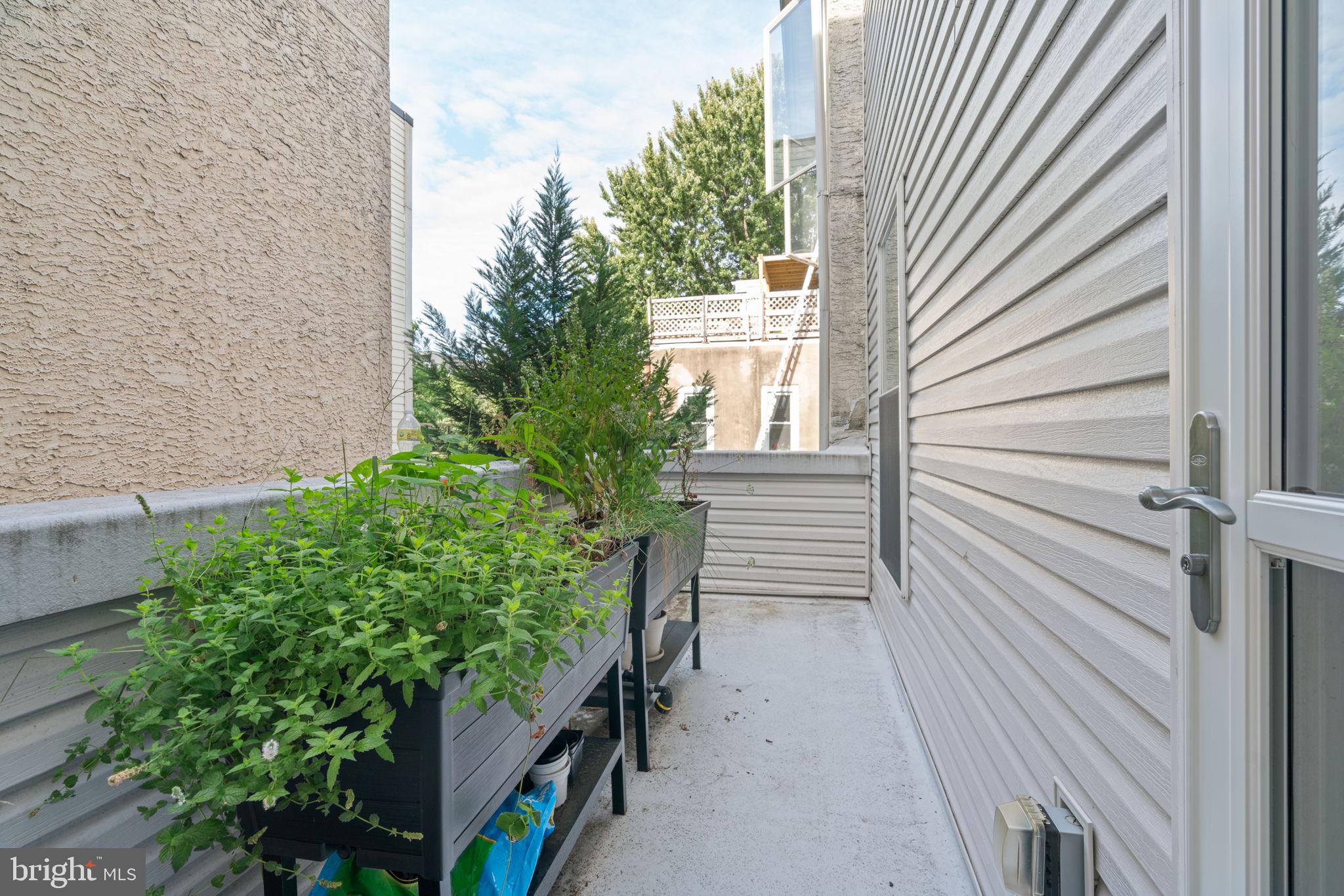 224 W WILDEY STREET