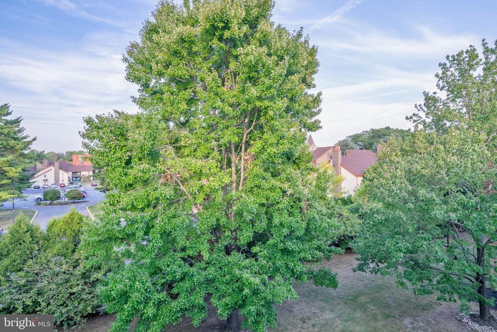 49304 DELAIRE LANDING ROAD 304