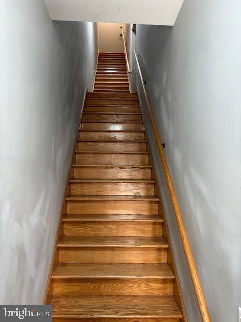 216 BUCKINGHAM PLACE 2
