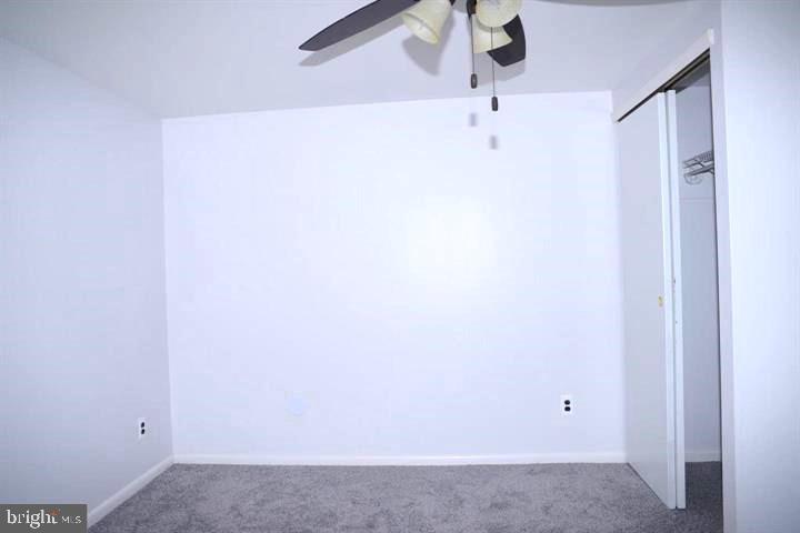 335 POPLAR STREET