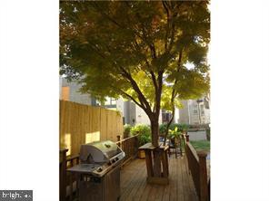 335 POPLAR STREET