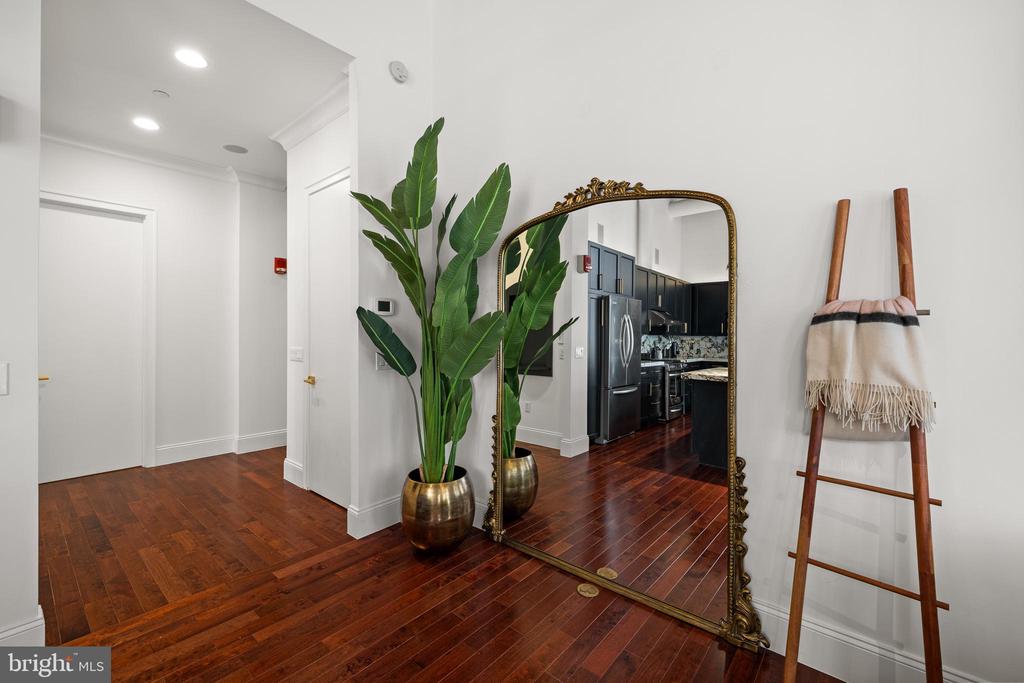 421 CHESTNUT STREET 203