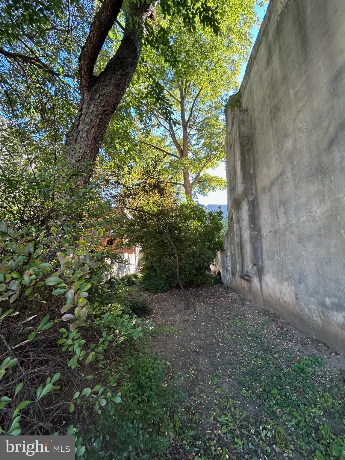 1206 WALLACE STREET