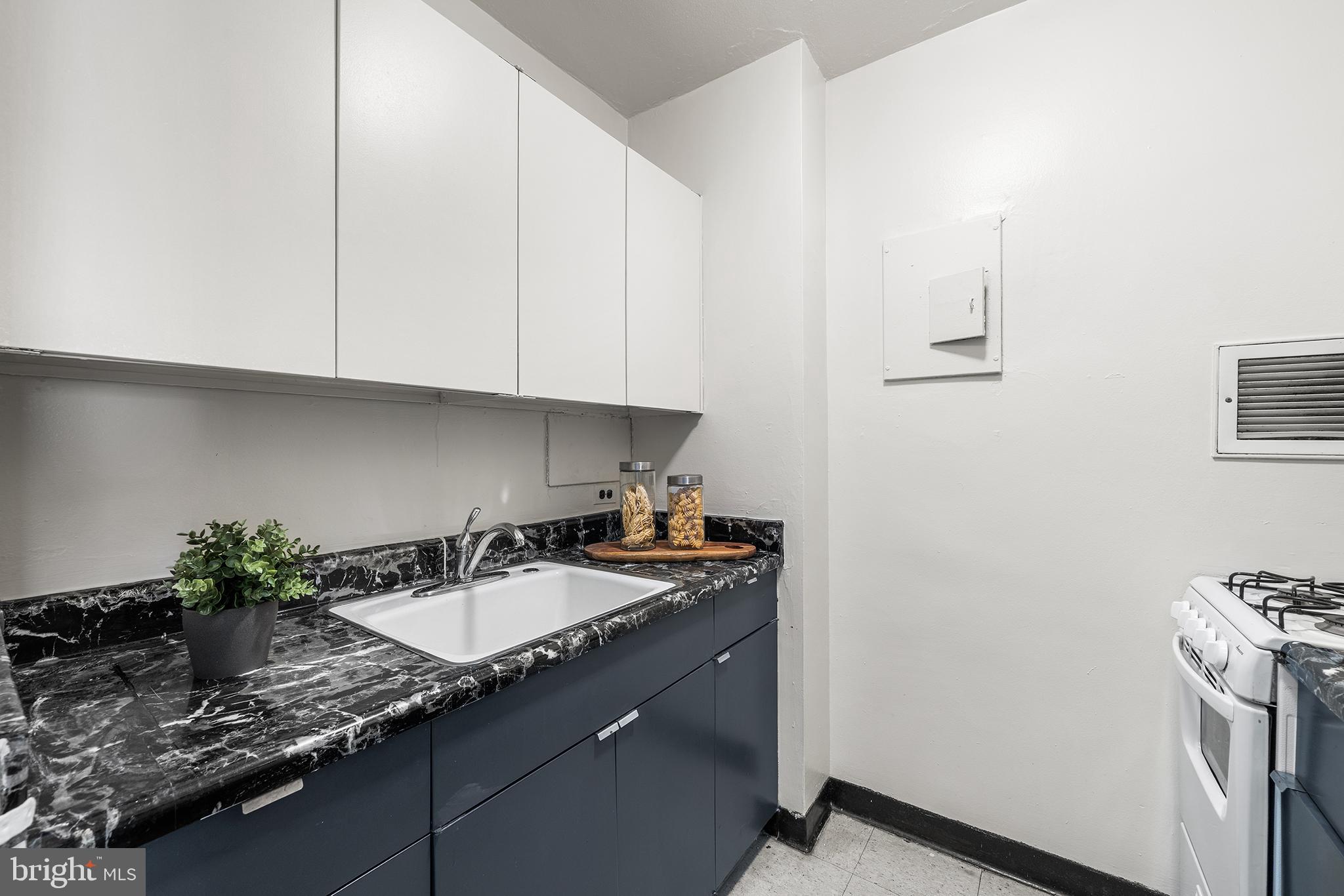 220 LOCUST STREET 25ES
