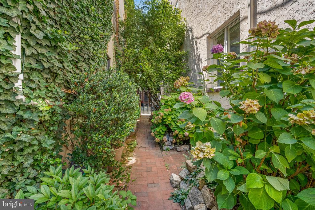 525 FITZWATER STREET Unit: 3