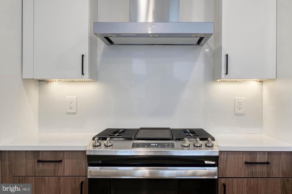 1519 CARPENTER STREET Unit: 2