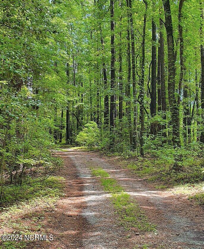 875 Mixon Creek Drive