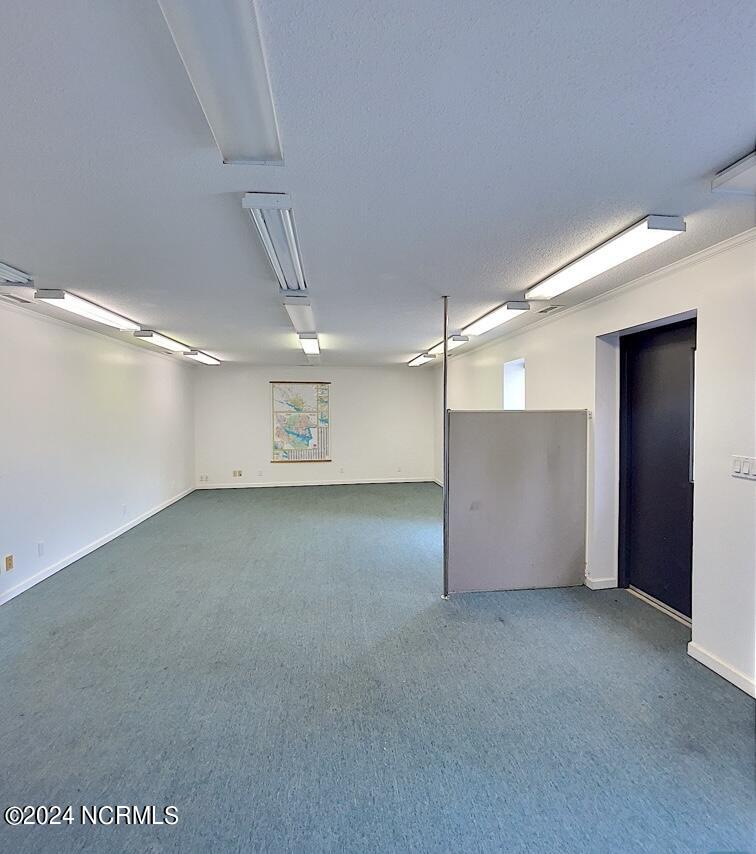 1184 Seed Tick Neck Road