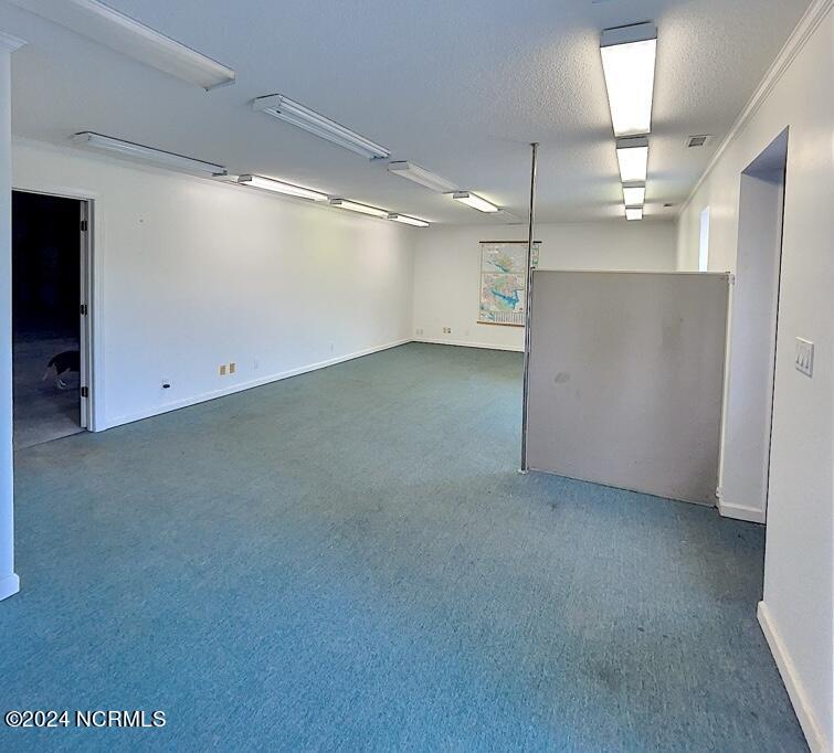 1184 Seed Tick Neck Road