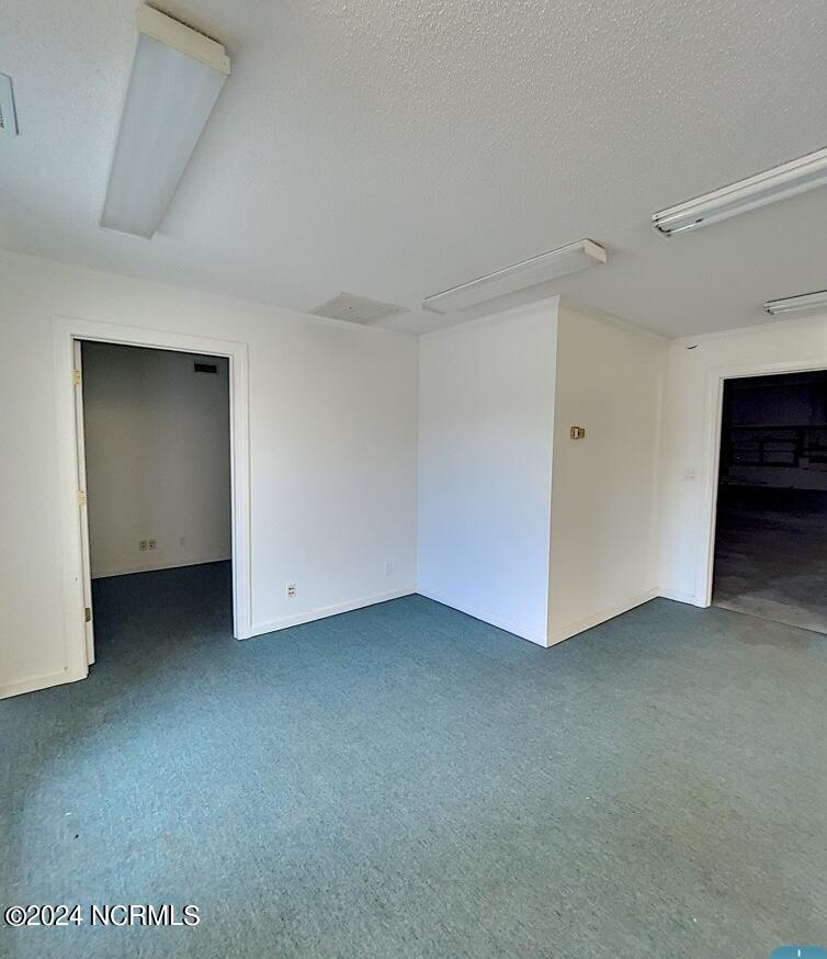 1184 Seed Tick Neck Road