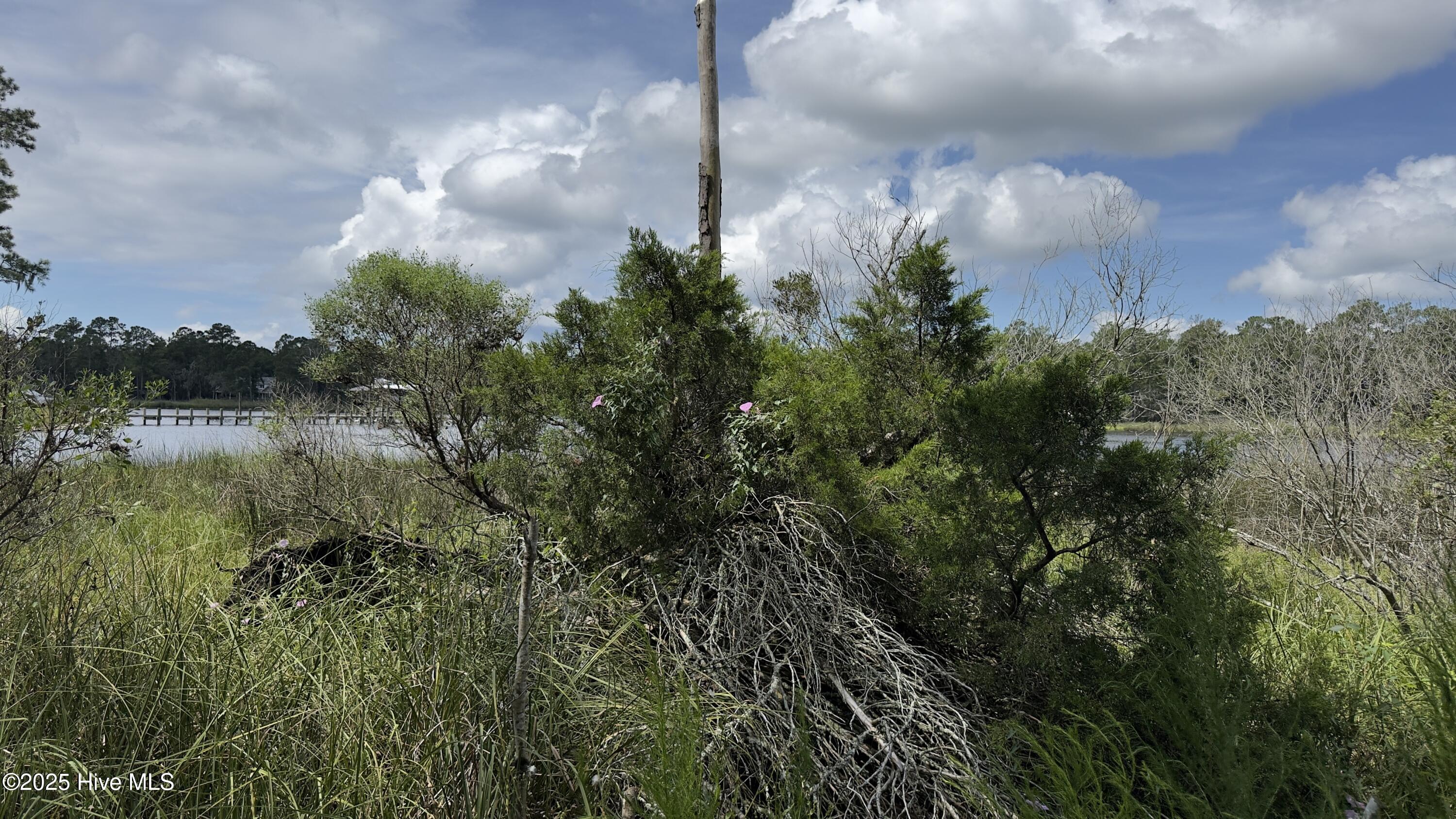 Lot 73 Bailey Pointe