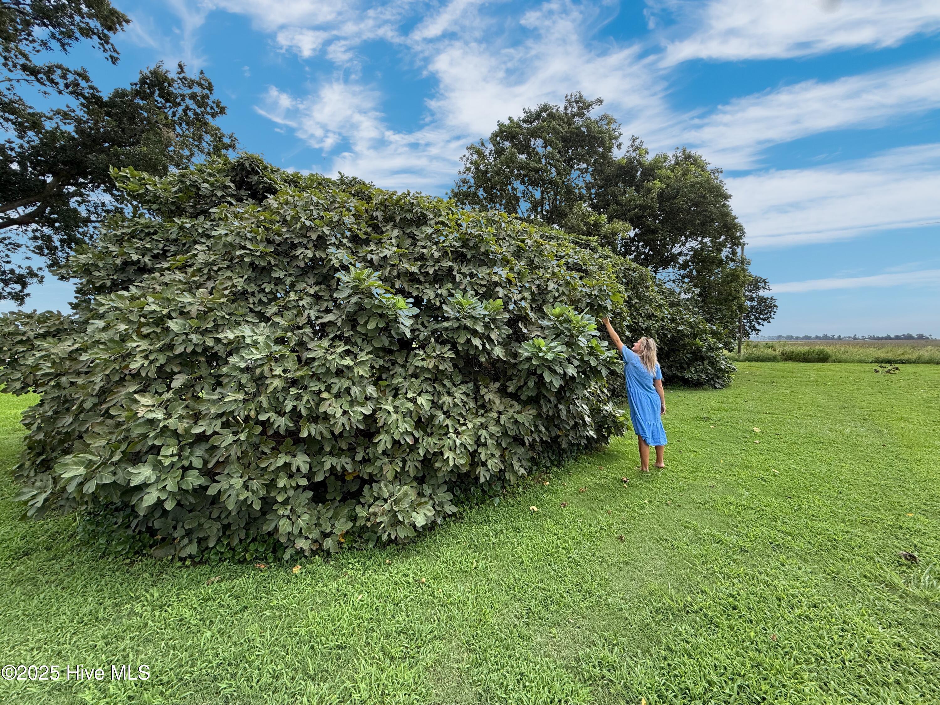 7760 Piney Woods Road