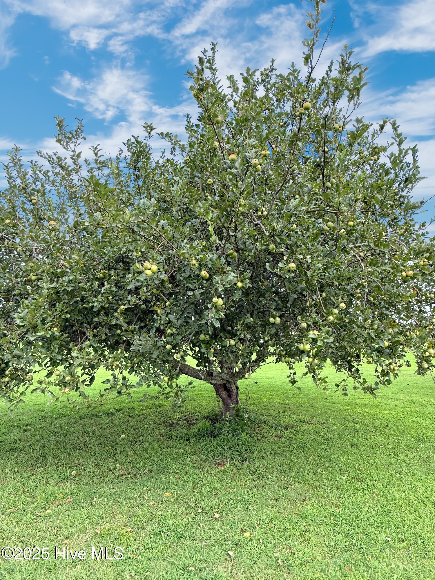 7760 Piney Woods Road