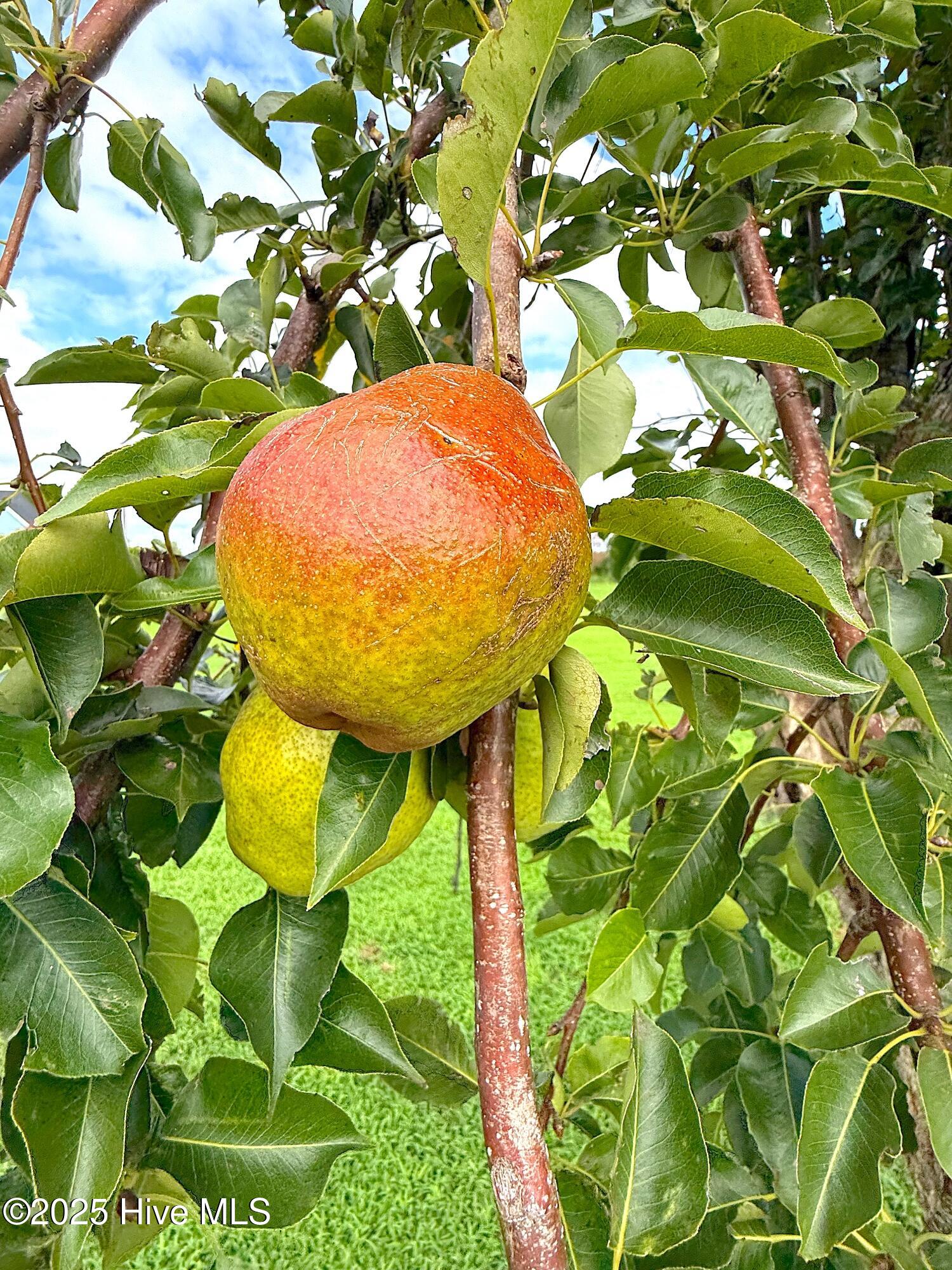 7760 Piney Woods Road