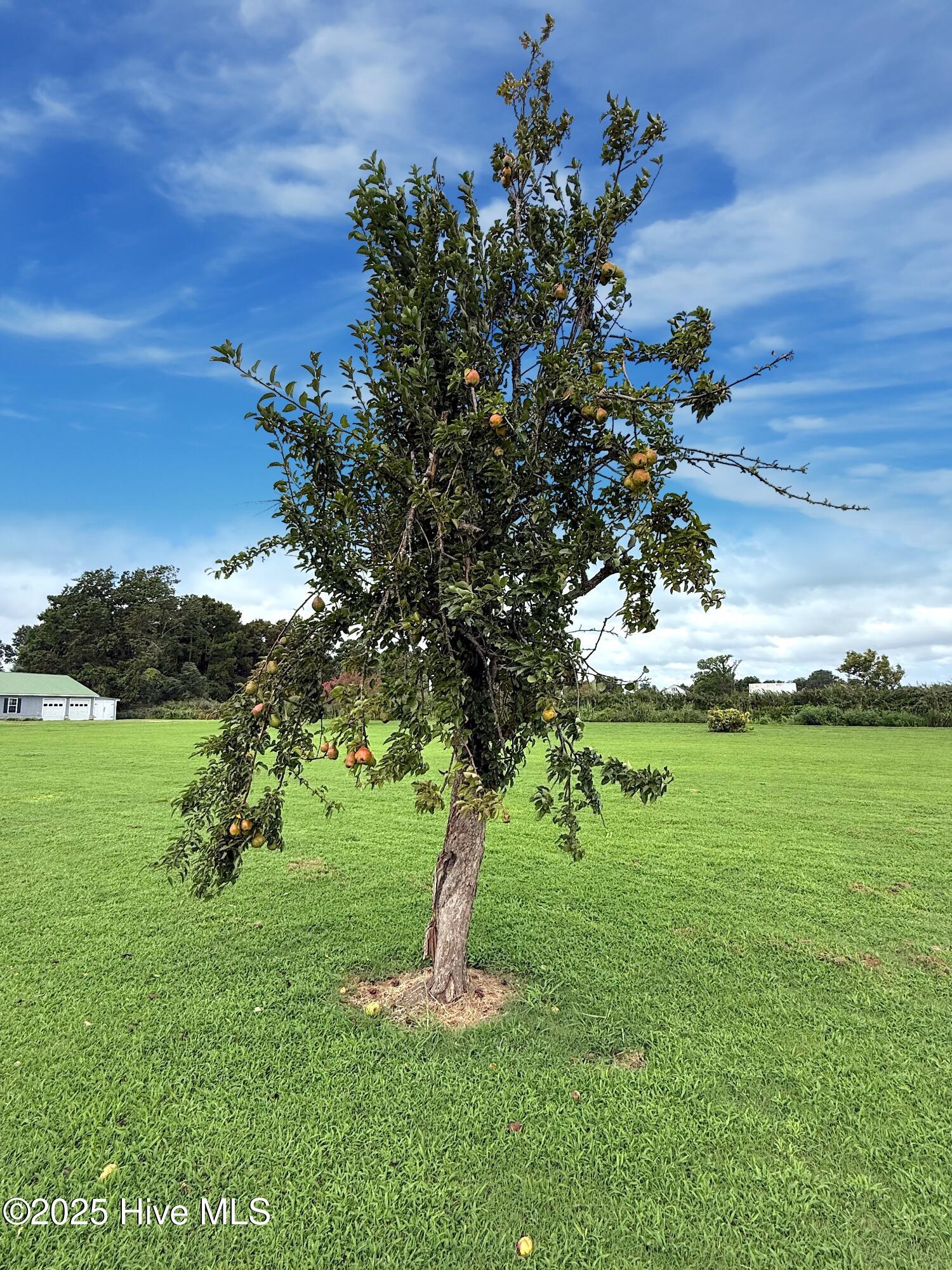 7760 Piney Woods Road