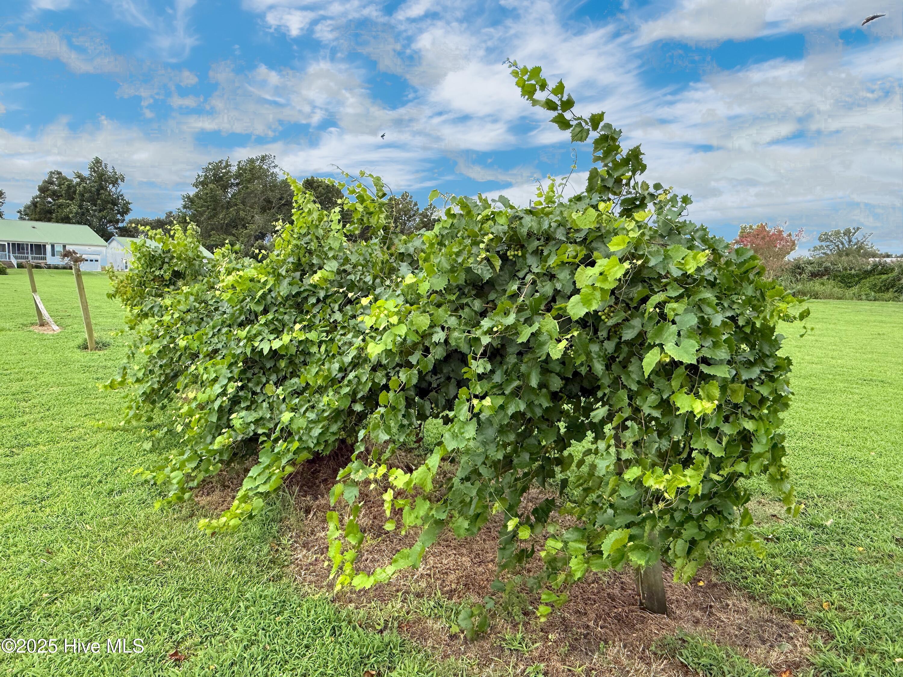 7760 Piney Woods Road