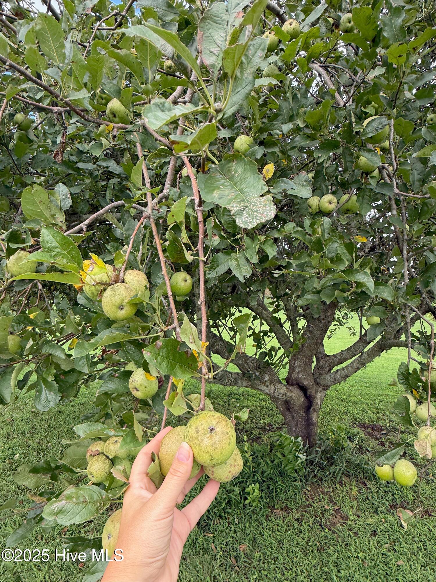 7760 Piney Woods Road