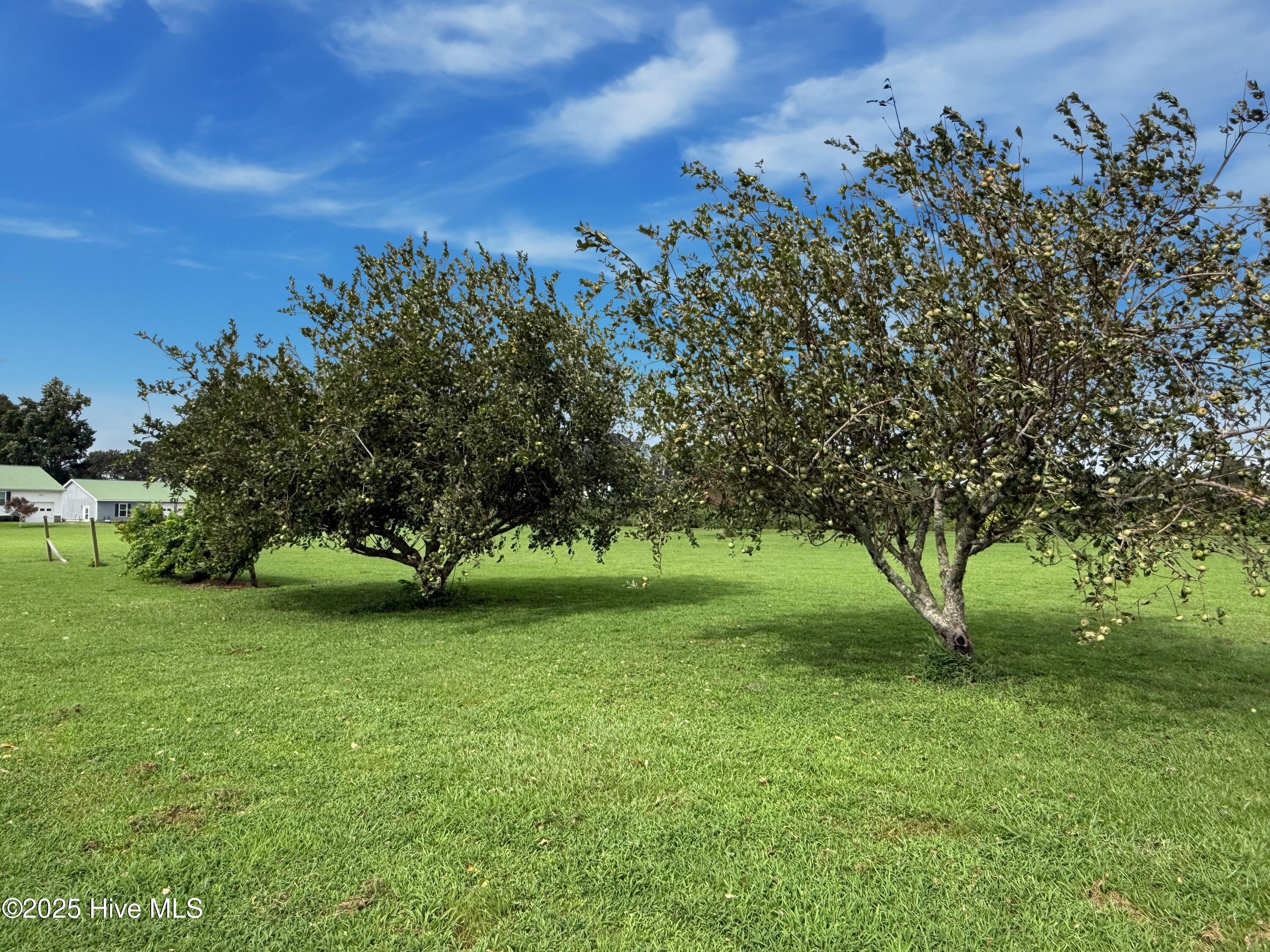 7760 Piney Woods Road