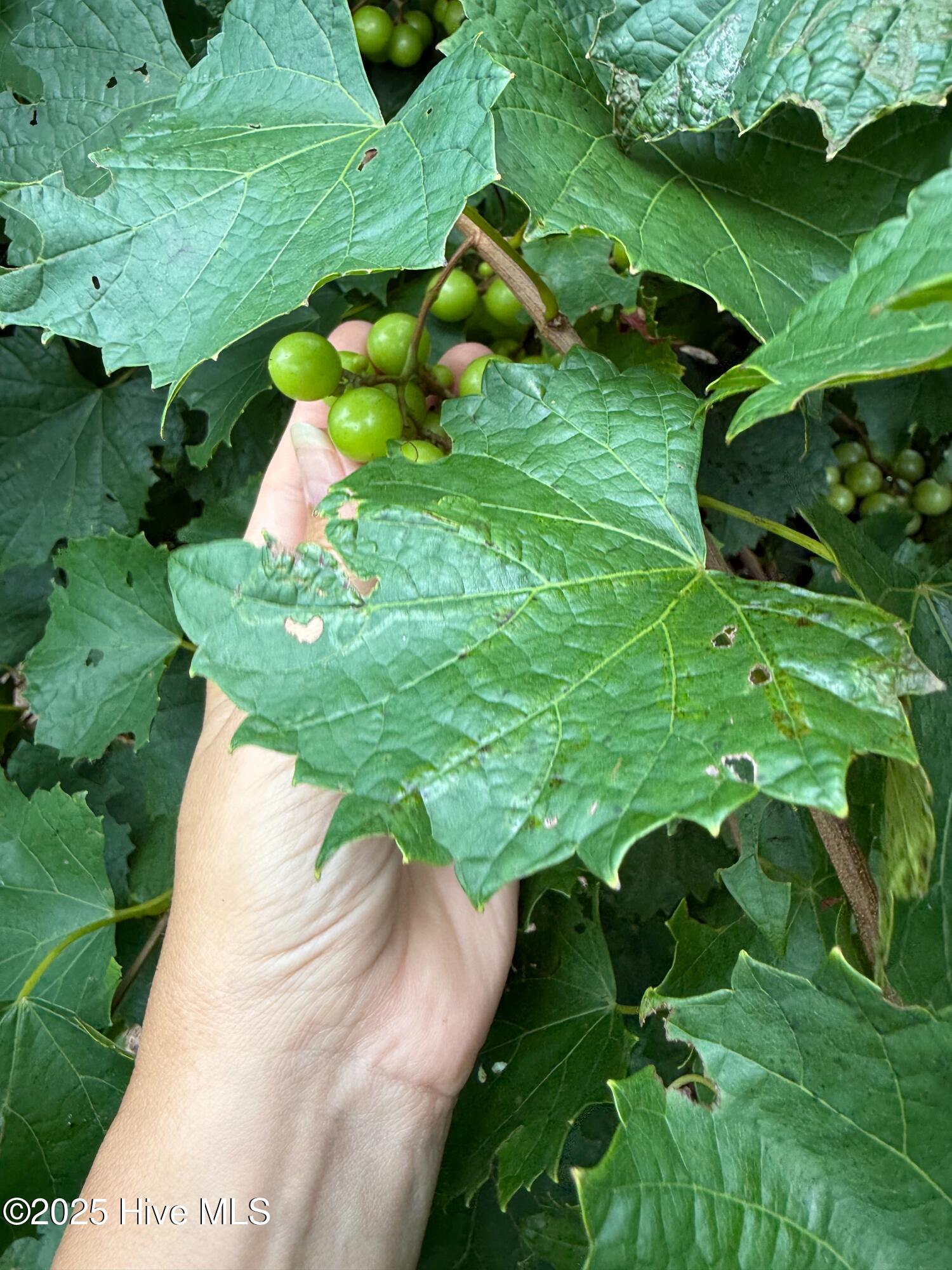 7760 Piney Woods Road