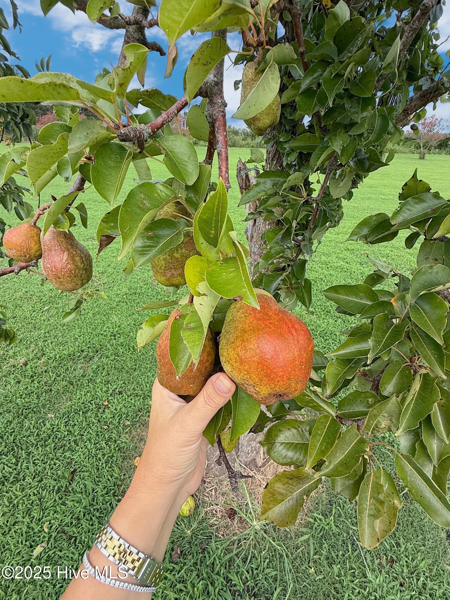 7760 Piney Woods Road