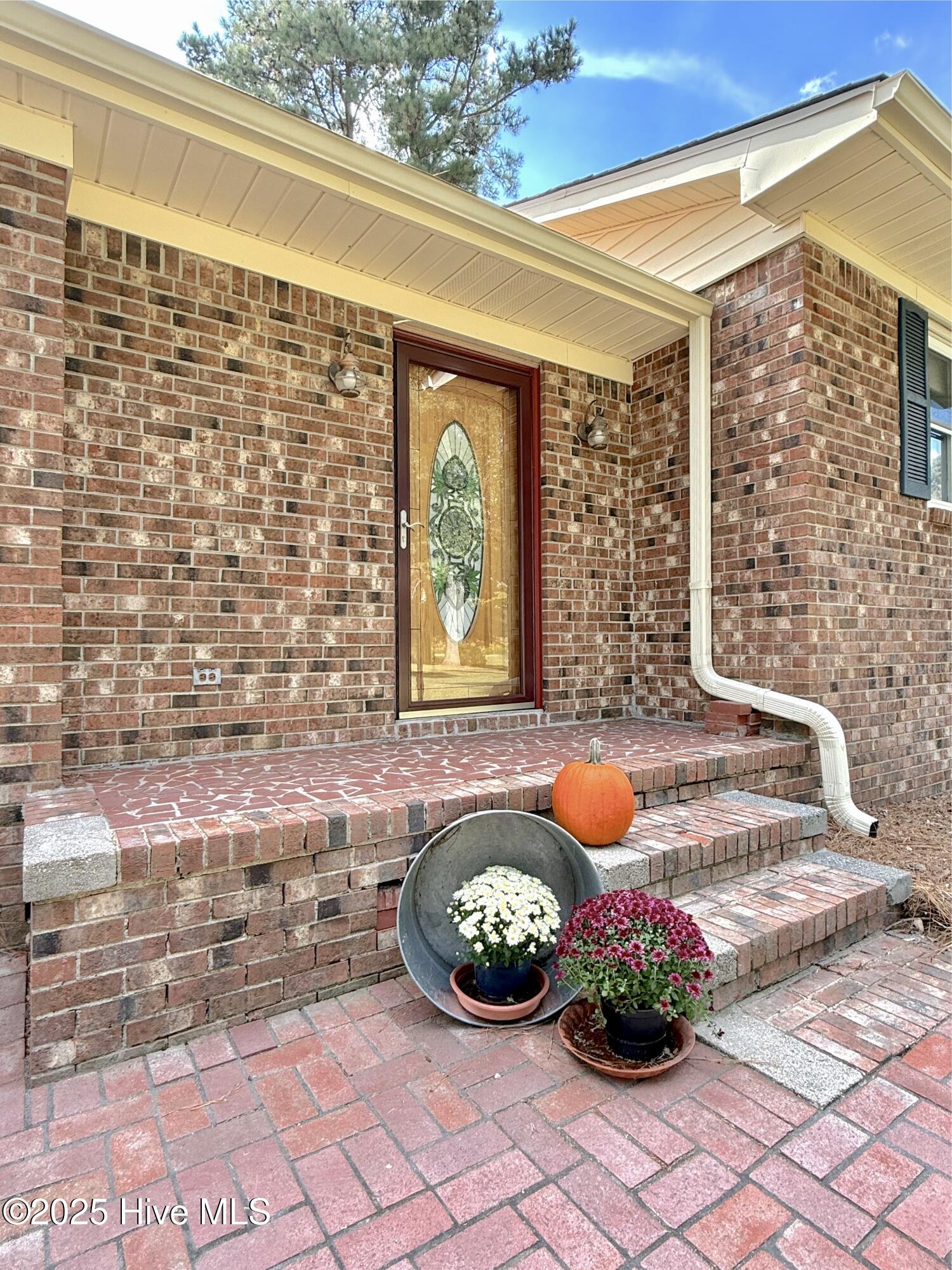 1591 Pat'S Road