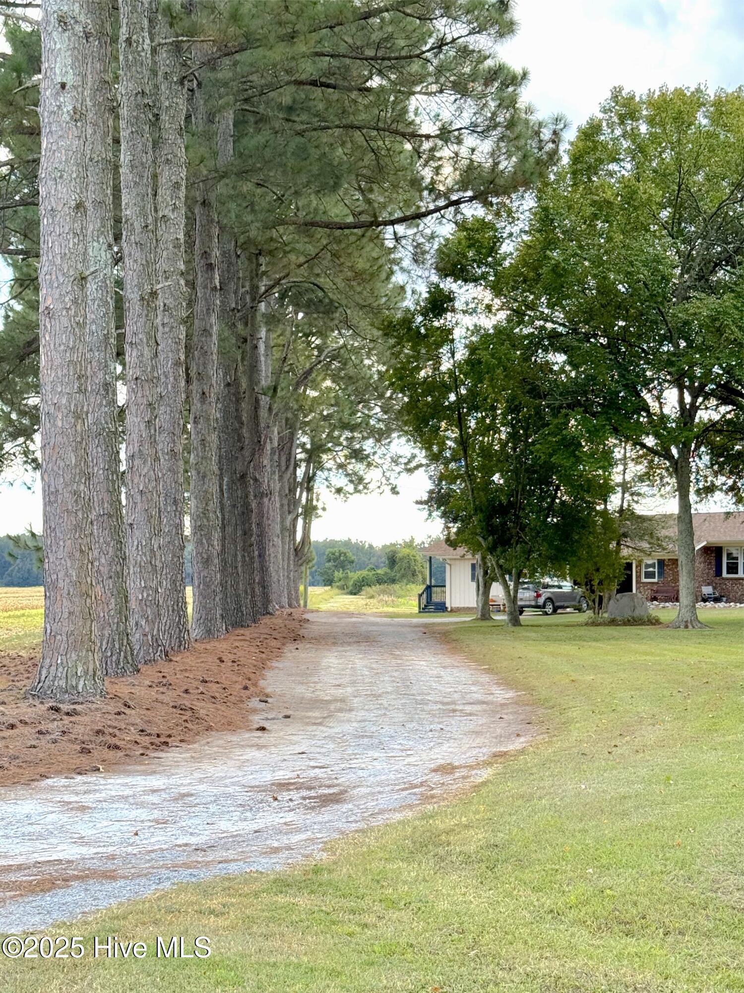 1591 Pat'S Road