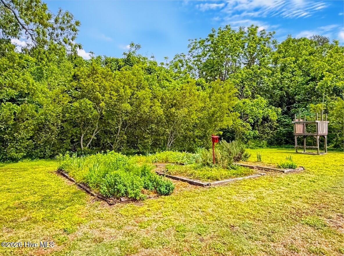6386 Piney Woods Road