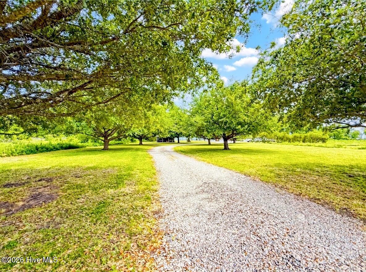 6386 Piney Woods Road