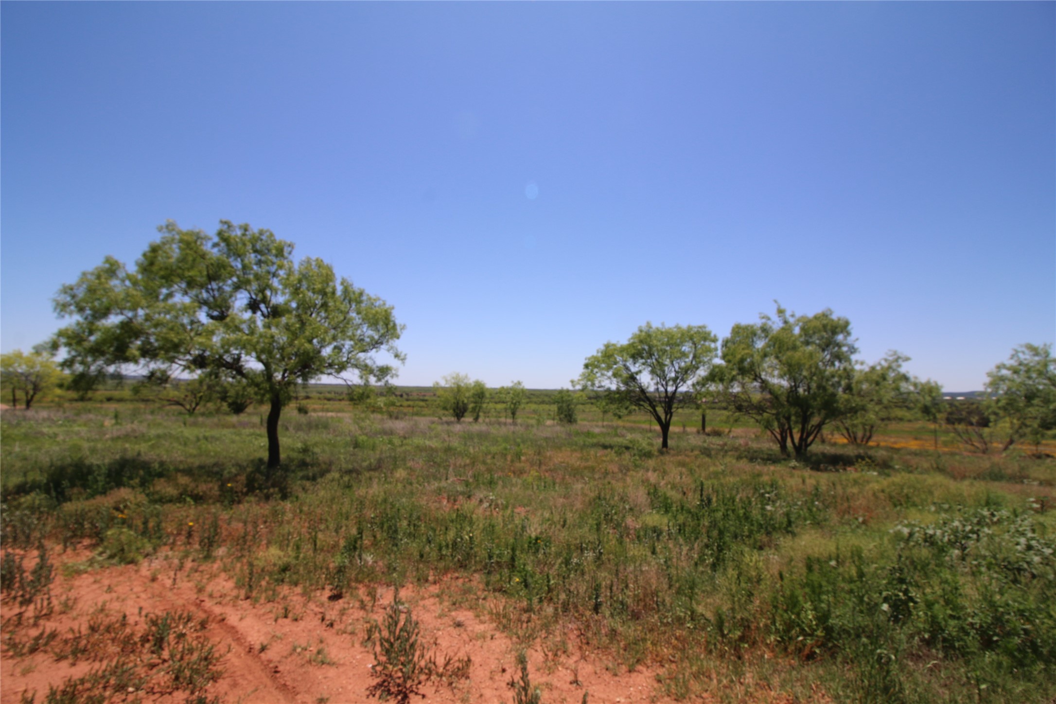 Lot 4 Marshal Trail Tuscola TX
